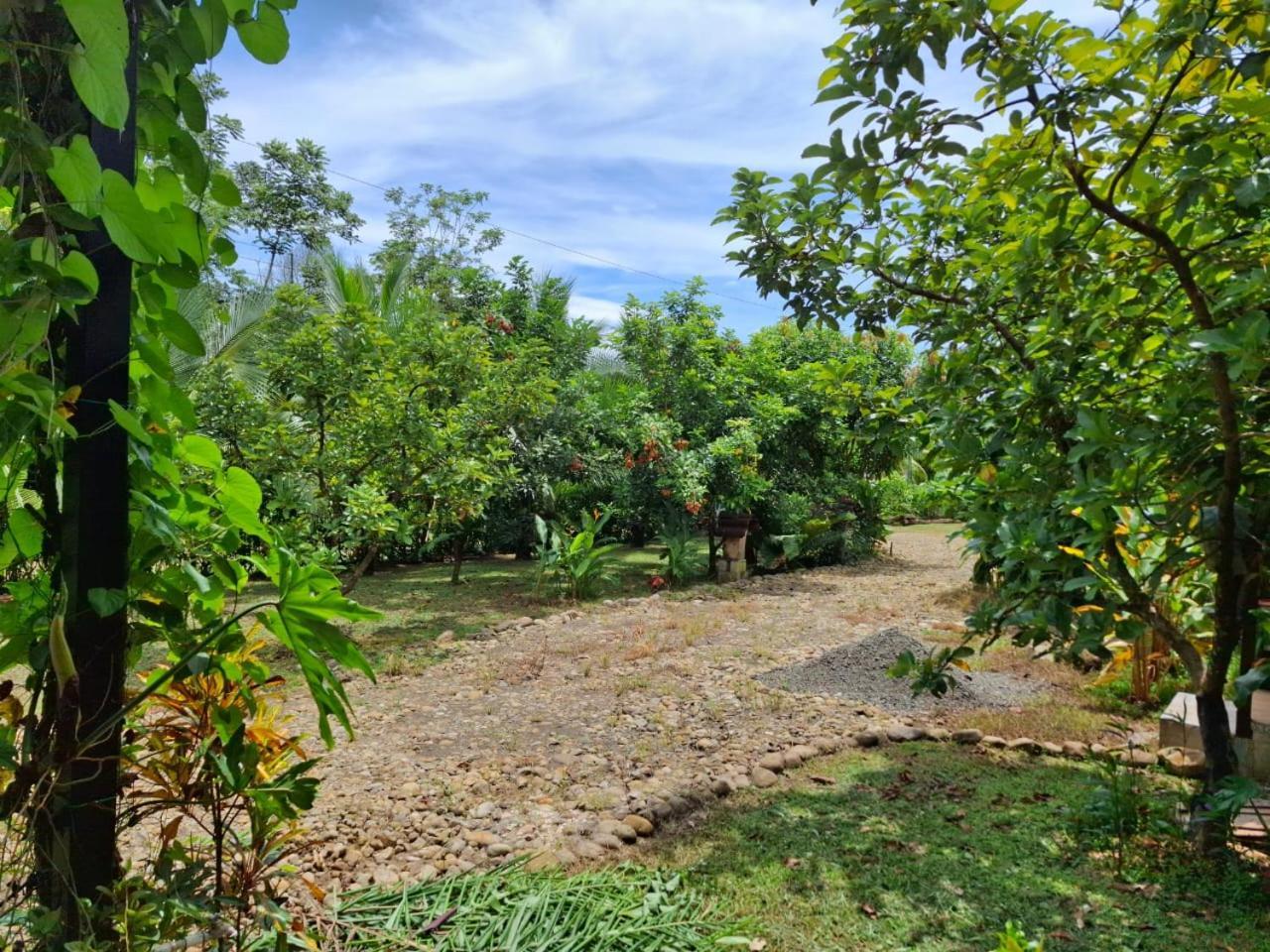 Bungalow Batsu La Fortuna Exterior photo