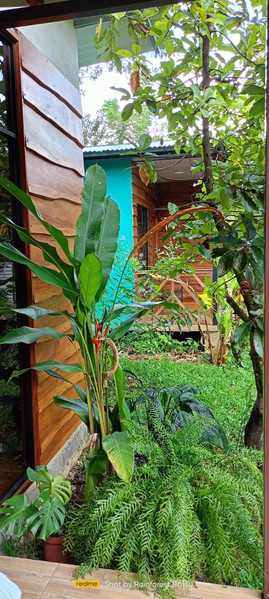 Bungalow Batsu La Fortuna Exterior photo